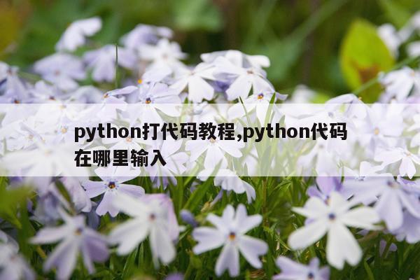 python打代码教程,python代码在哪里输入