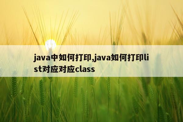 java中如何打印,java如何打印list对应对应class