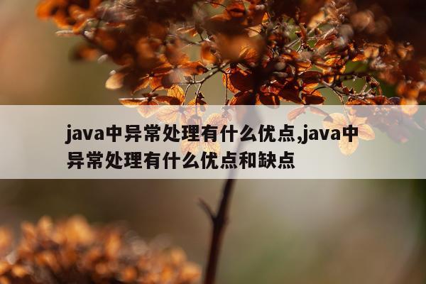 java中异常处理有什么优点,java中异常处理有什么优点和缺点