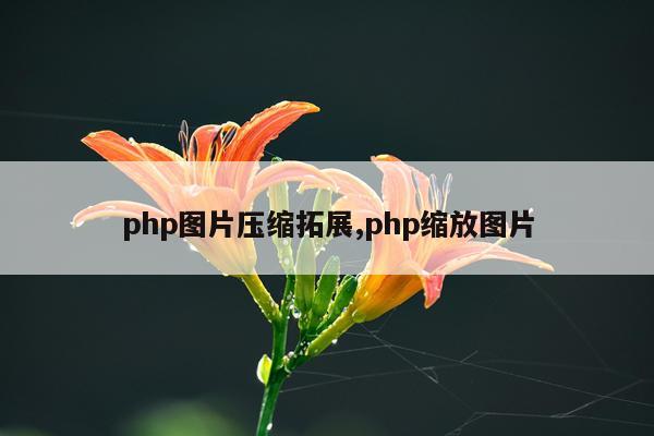 php图片压缩拓展,php缩放图片