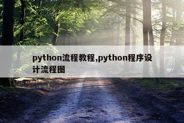 python流程教程,python程序设计流程图