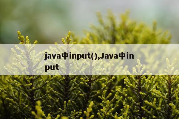 java中input(),Java中input