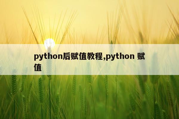 python后赋值教程,python 赋值