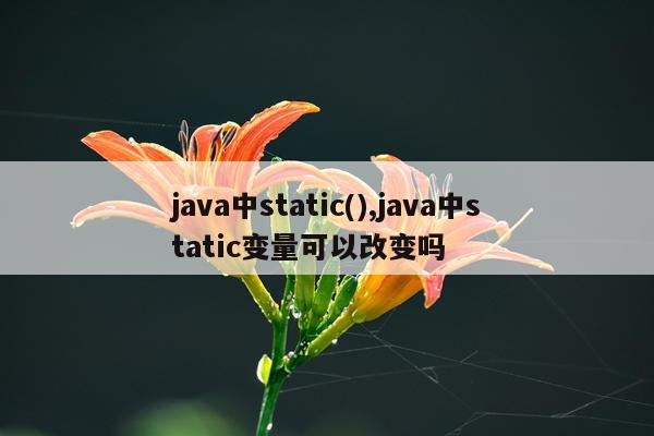 java中static(),java中static变量可以改变吗