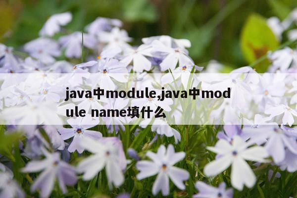 java中module,java中module name填什么