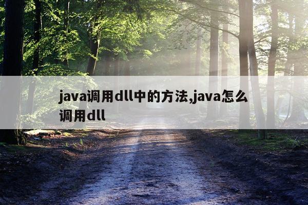 java调用dll中的方法,java怎么调用dll