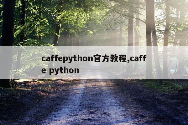 caffepython官方教程,caffe python