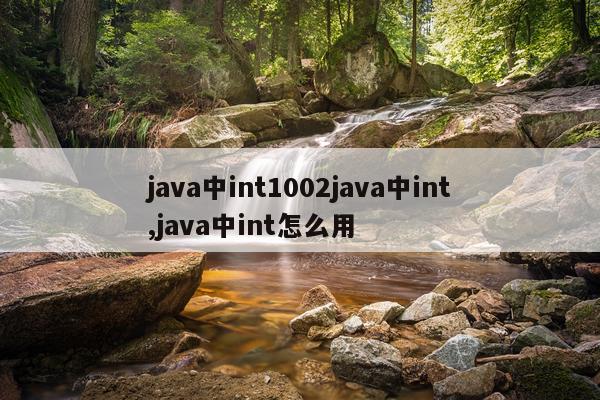 java中int1002java中int,java中int怎么用