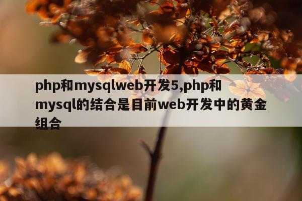 php和mysqlweb开发5,php和mysql的结合是目前web开发中的黄金组合
