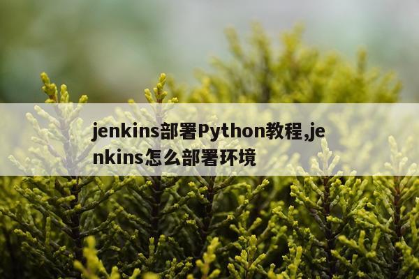 jenkins部署Python教程,jenkins怎么部署环境