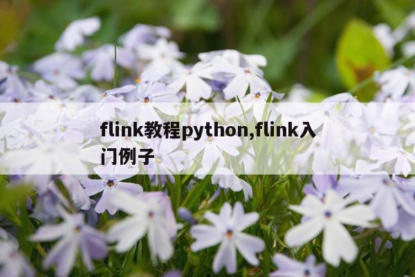 flink教程python,flink入门例子