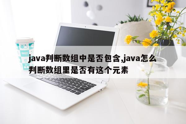 java判断数组中是否包含,java怎么判断数组里是否有这个元素