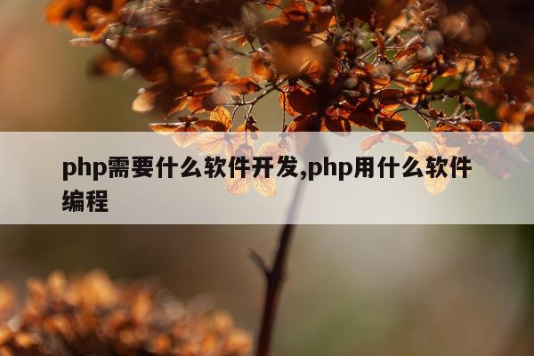 php需要什么软件开发,php用什么软件编程