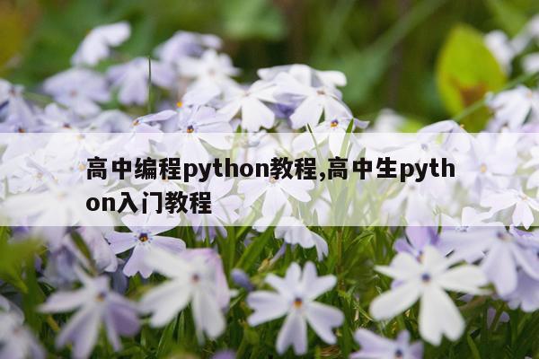 高中编程python教程,高中生python入门教程