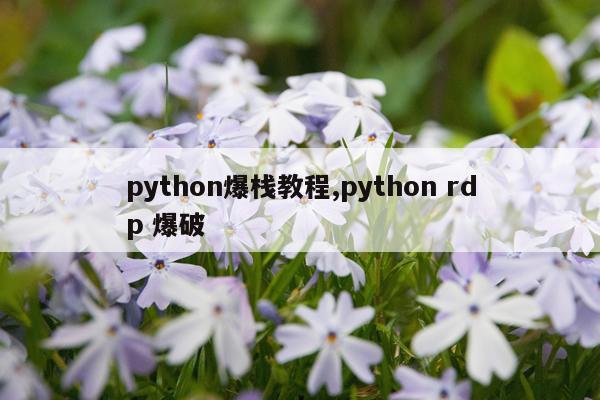 python爆栈教程,python rdp 爆破