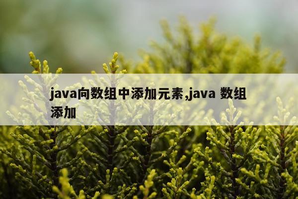 java向数组中添加元素,java 数组添加