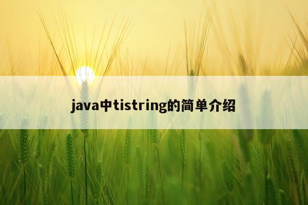 java中tistring的简单介绍