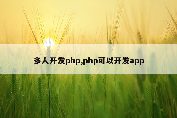 多人开发php,php可以开发app