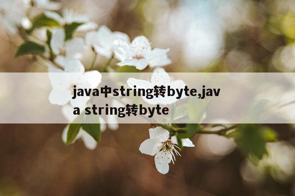 java中string转byte,java string转byte