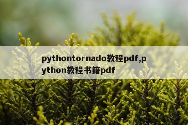 pythontornado教程pdf,python教程书籍pdf