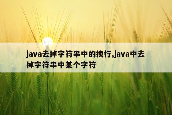 java去掉字符串中的换行,java中去掉字符串中某个字符