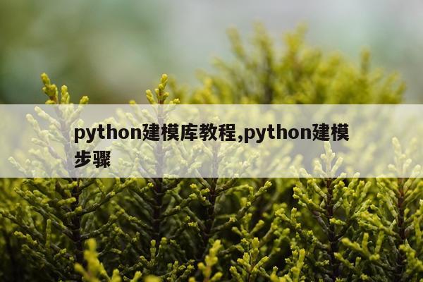 python建模库教程,python建模步骤