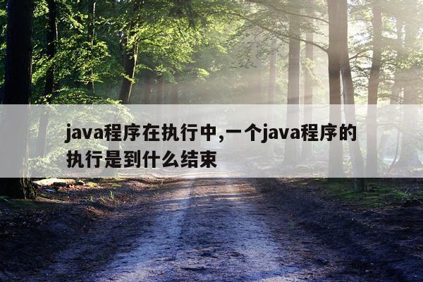 java程序在执行中,一个java程序的执行是到什么结束