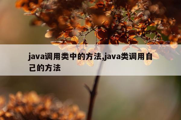 java调用类中的方法,java类调用自己的方法