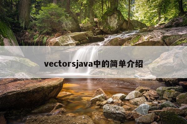vectorsjava中的简单介绍