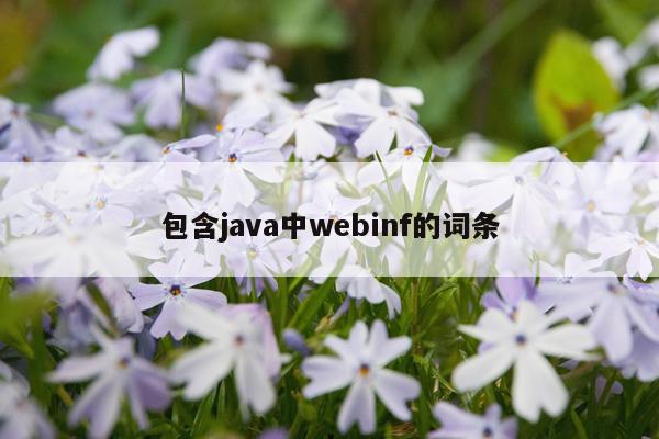 包含java中webinf的词条