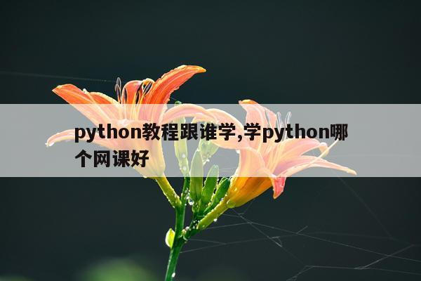 python教程跟谁学,学python哪个网课好