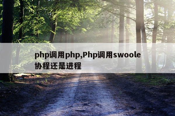 php调用php,Php调用swoole协程还是进程