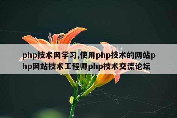 php技术网学习,使用php技术的网站php网站技术工程师php技术交流论坛