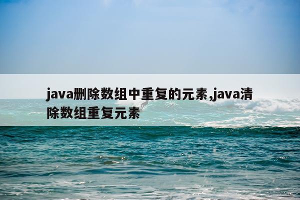 java删除数组中重复的元素,java清除数组重复元素