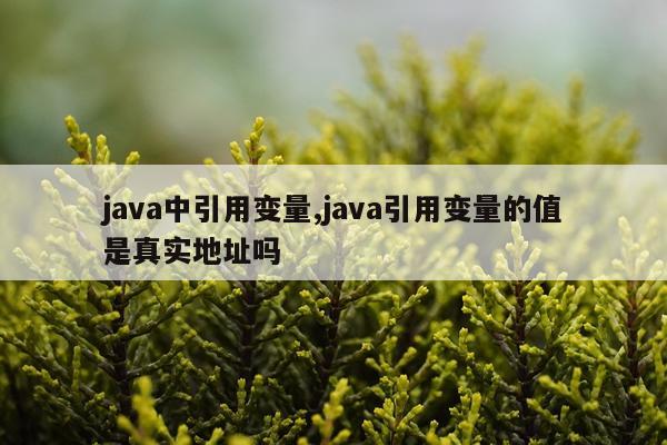 java中引用变量,java引用变量的值是真实地址吗