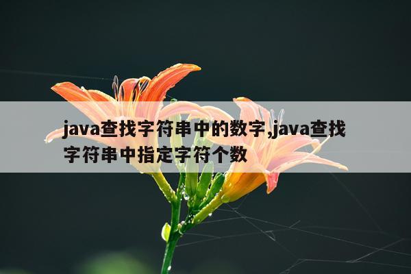 java查找字符串中的数字,java查找字符串中指定字符个数