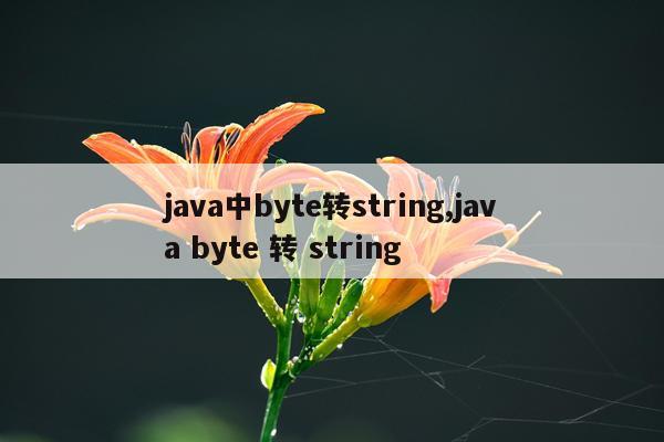 java中byte转string,java byte 转 string