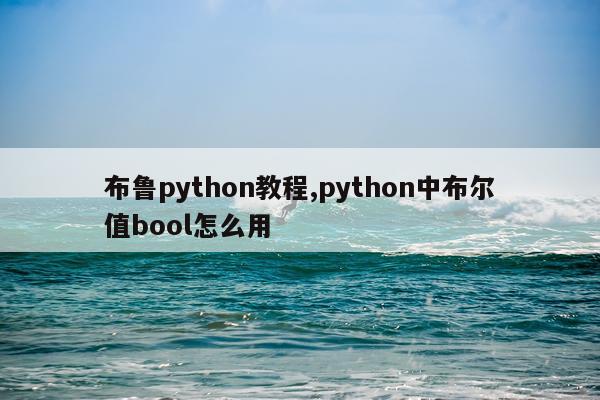 布鲁python教程,python中布尔值bool怎么用