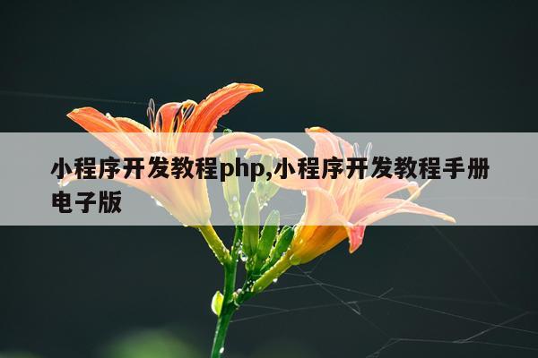 小程序开发教程php,小程序开发教程手册电子版