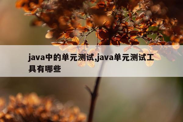 java中的单元测试,java单元测试工具有哪些