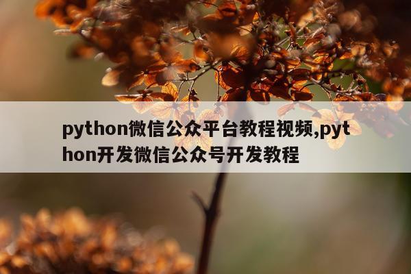 python微信公众平台教程视频,python开发微信公众号开发教程