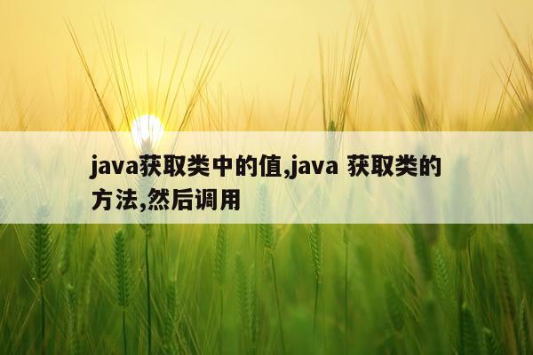 java获取类中的值,java 获取类的方法,然后调用