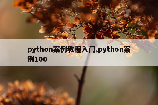 python案例教程入门,python案例100