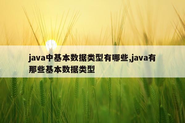 java中基本数据类型有哪些,java有那些基本数据类型