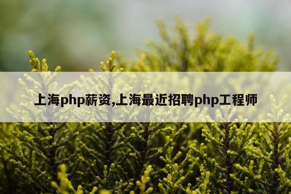 上海php薪资,上海最近招聘php工程师