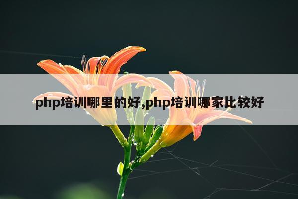 php培训哪里的好,php培训哪家比较好