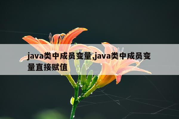 java类中成员变量,java类中成员变量直接赋值