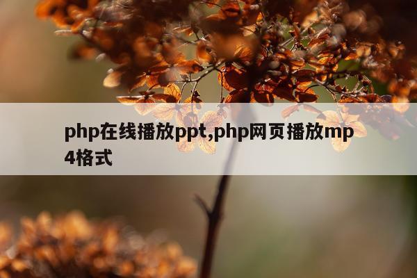php在线播放ppt,php网页播放mp4格式