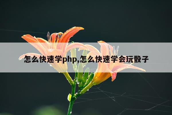 怎么快速学php,怎么快速学会玩骰子