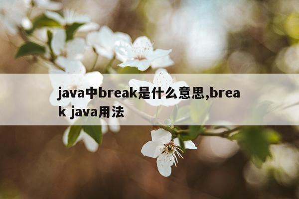 java中break是什么意思,break java用法